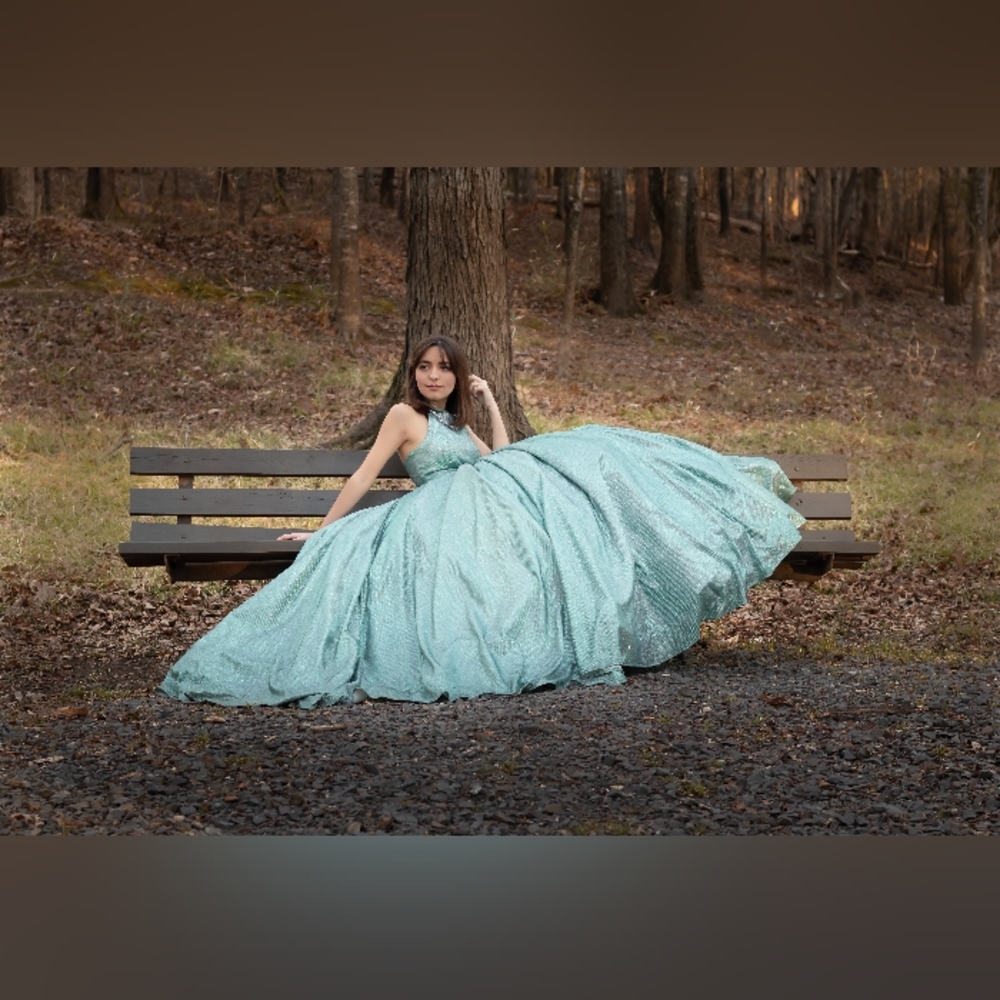Quinceañera/Prom Dress